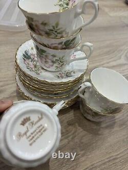 230+ Item Mixed Vintage Bone China Collection