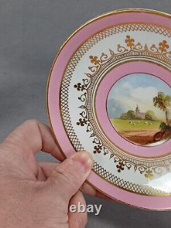 British Hand Painted Landscape Pink Bone China Coffee Cup & Saucer C. 1860-1870s