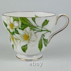 C1938 Set of 6 Vintage Shelley Bone China Cups & Saucers Syringa Pattern #14009