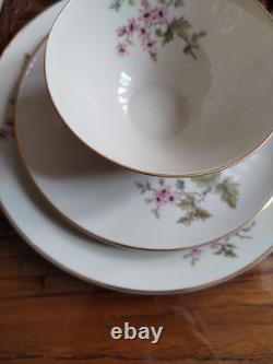 Hutschenreuther Favorit Bavaria Germany Vintage Floral Coffee Set Gold Trim B5