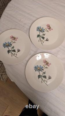 J&G Meakin, Garden Party Coffee Set