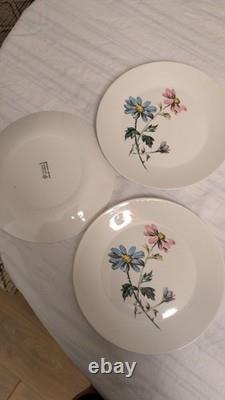 J&G Meakin, Garden Party Coffee Set