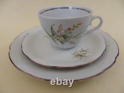 Kahla Porcelain Vintage Floral 21 Piece Coffee Set. Excellent