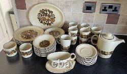 Large Vintage Poole Pottery Thistlewood Crockery Collection Dinner Set