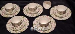 Queen's England Country Meadow Fine Bone China Country Meadow Coffee Service 6 Person