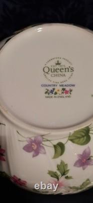 Queen's England Country Meadow Fine Bone China Country Meadow Coffee Service 6 Person