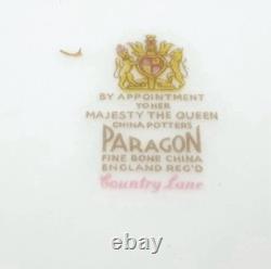 Rare 110+piece Paragon CountryLane Fine Bone China Complete Tea/coffee&DinnerSet