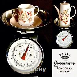 Rare Vintage (1950s) English Queen Anne Autumn Rose Fine Bone China Coff Set