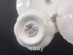 Royal Albert Violet Rose 19 Piece Coffee Set Vintage Bone China England 1960s