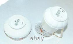 Royal Doulton Fine China H3746 Cobwebs Coffee Set 15 PC Coffee Pot cups Saucers