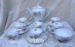 Shelley WILD FLOWERS 13668 Vintage Stunning Bone China Coffee Set