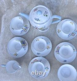 Shelley WILD FLOWERS 13668 Vintage Stunning Bone China Coffee Set