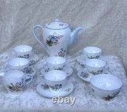 Shelley WILD FLOWERS 13668 Vintage Stunning Bone China Coffee Set