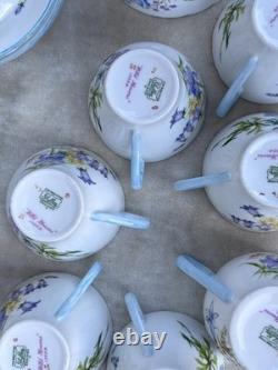 Shelley WILD FLOWERS 13668 Vintage Stunning Bone China Coffee Set