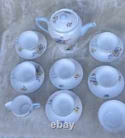 Shelley WILD FLOWERS 13668 Vintage Stunning Bone China Coffee Set