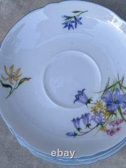 Shelley WILD FLOWERS 13668 Vintage Stunning Bone China Coffee Set