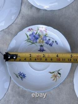 Shelley WILD FLOWERS 13668 Vintage Stunning Bone China Coffee Set