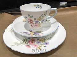 Shelley vintage wild flowers coffee set 6 Trios Cake Plate Coffee Pot, Creamer