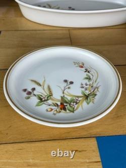 St Michael Harvest Stoneware Tea Set Coffee Set Serving Pieces Vintage M&S 24pc