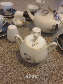 Stunning Vintage (1950s) Winterling Bavarian Coffee/tes Set. Pot, Lidded