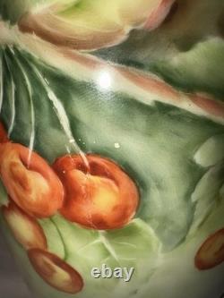Swiss Langenthal Vintage Porcelain Hand Painted Cherry Coffee Pot Set 4pc