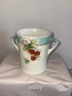 Swiss Langenthal Vintage Porcelain Hand Painted Cherry Coffee Pot Set 4pc
