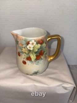 Swiss Langenthal Vintage Porcelain Hand Painted Cherry Coffee Pot Set 4pc