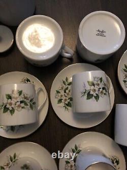 VTG Retro Late 70's Complete Mayfair Bone China Coffee Set 15 pce Gilded Unused