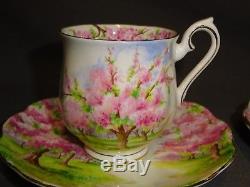Vintage 15 Piece Royal Albert Blossom Time Coffee Set Coffee Pot Sugar Milk