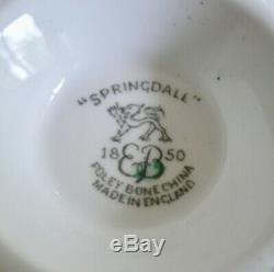 Vintage 50s Foley English bone china Foley Springdale chintz tea coffee set pot