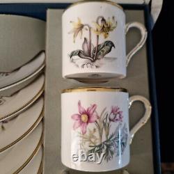 Vintage Boxed Set of 6 Royal Worcester Demitasse / Coffee Cups Alpine Flowers