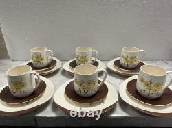 Vintage Carlton Ware Mimosa Tea Coffee Set 22pc VGC Mid Century Modern Retro