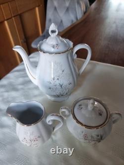 Vintage Haas & Czjzek Czechoslovakia Coffee Set 15 Pieces