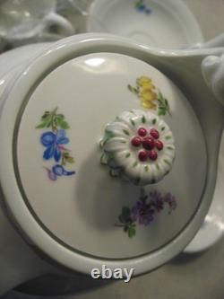 Vintage Meissen Flowers Swan Neck Luncheon Tea/Coffee Set of 12 (minus 1 Saucer)
