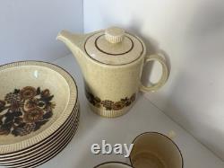 Vintage Poole Pottery Thistlewood 42-Piece Dinner Service Coffee Set England
