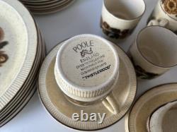 Vintage Poole Pottery Thistlewood 42-Piece Dinner Service Coffee Set England