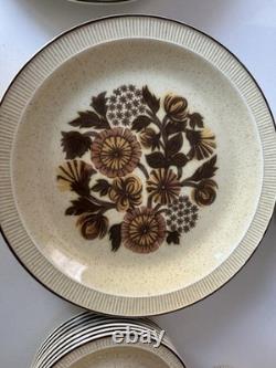 Vintage Poole Pottery Thistlewood 42-Piece Dinner Service Coffee Set England