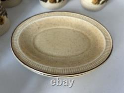 Vintage Poole Pottery Thistlewood 42-Piece Dinner Service Coffee Set England