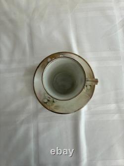 Vintage RS Reinhold Schlegelmilch Germany hand painted porcelain coffee cups set