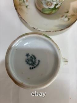 Vintage RS Reinhold Schlegelmilch Germany hand painted porcelain coffee cups set