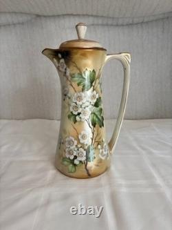 Vintage RS Reinhold Schlegelmilch Germany hand painted porcelain coffee cups set