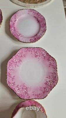 Vintage SHELLEY WILEMAN china PINK DAISY 8644 COFFEE SET for 4 People