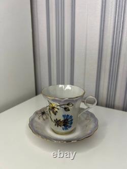 Vintage Ukrainian Porcelain Tea and Coffee Set, Korosten Factory, 1950s