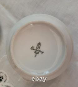 Vintage Winterling Strawflower Bavaria German Porcelain Tea/Coffee Set