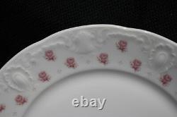 20pc Vintage Mitterteich Pink Roses Cafetière, Cup/saucer Dessert Set, Bavière