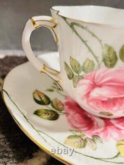 Ancien Vintage Shelley Rambler Rose Tea Cup & Saucer Set Made In England Mint