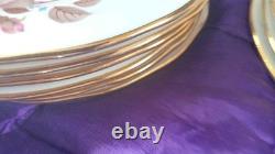 Bel ensemble de thé/café en porcelaine de bone china Vintage Queen Anne, 18 pièces, en boîte