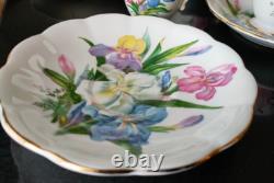 Ensemble Vintage de Six Tasses et Soucoupes Fleurs d'Iris Porcelaine Fine Thé Café Royal Standard