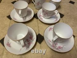 Ensemble de 2 cafetières Vintage Lorenz Hutschenreuther Noblesse Allemagne