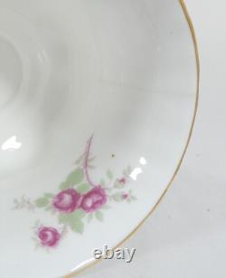 Ensemble de café en porcelaine Bone China Royal Albert vintage de 15 pièces avec roses roses, pot, tasse, sous-tasse floral